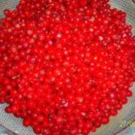 房スグリ レッドカラント のジャム レシピ 作り方 By ち 坊 楽天レシピ 房スグリ レッドカラント のジャム レシピ 作り方 By ち 坊 楽天レシピ